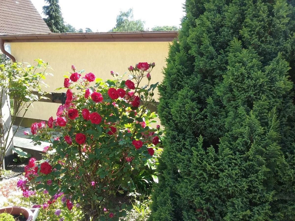 Haus Granitz Διαμέρισμα Sellin  Εξωτερικό φωτογραφία